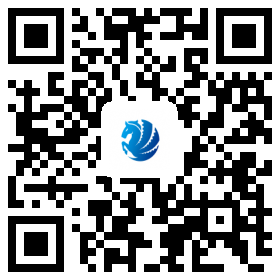 網(wǎng)站二維碼 網(wǎng)站二維碼